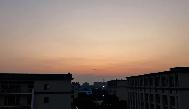 商务代理如何助力企业提升管理效能